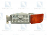 TRUCKLIGHT FL-MA004L rūko žibintas 
 Kėbulas -> Pagalbiniai žibintai/dalys -> Rūko žibintas/dalys -> Rūko žibintas/įterp.
81253206111, 81253506091