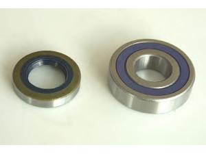 SCT Germany SCP 973 rato guolio komplektas 
 Ašies montavimas/vairavimo mechanizmas/ratai -> Rato stebulė/montavimas -> Rato guolis