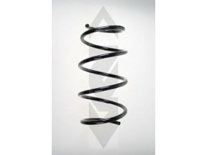 SPIDAN 56925 spyruoklė 
 Pakaba -> Spyruoklės
31 33 6 761 211