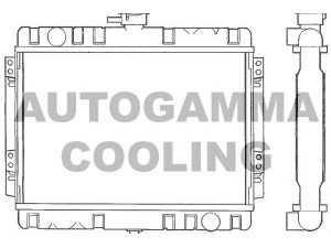 AUTOGAMMA 100321 radiatorius, variklio aušinimas
6028425, 6084479