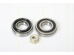 TRISCAN 8530 25102 rato guolio komplektas 
 Ašies montavimas/vairavimo mechanizmas/ratai -> Rato stebulė/montavimas -> Rato guolis
7701 460 637, 7701 460 637
