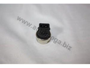 AUTOMEGA 309190501251D siuntimo blokas, aušinimo skysčio temperatūra
251919501D, 251919501D, 251919501D