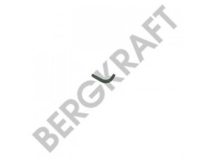 BERGKRAFT BK2971621SP radiatoriaus žarna
20542204