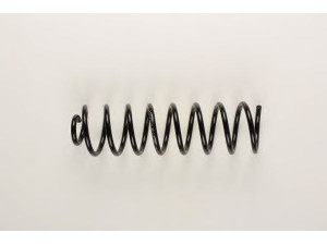 BILSTEIN 36-131082 spyruoklė 
 Pakaba -> Spyruoklės
331 511 115 D