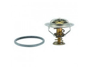 FISPA 94.307 termostatas, aušinimo skystis 
 Aušinimo sistema -> Termostatas/tarpiklis -> Thermostat
21200AD200, 21200BN300, 21200BN301