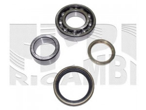 CALIBER RC2310 rato guolio komplektas 
 Ašies montavimas/vairavimo mechanizmas/ratai -> Rato stebulė/montavimas -> Rato guolis
926935009