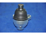 PARTS-MALL PXCJA-023 atramos/vairo trauklė 
 Ašies montavimas/vairavimo mechanizmas/ratai -> Sujungimai -> Atramos/vairo trauklė
545303A200