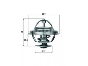 MAHLE ORIGINAL TX 21 80D termostatas, aušinimo skystis 
 Aušinimo sistema -> Termostatas/tarpiklis -> Thermostat
1153 1 264 668, 1153 1 265 085