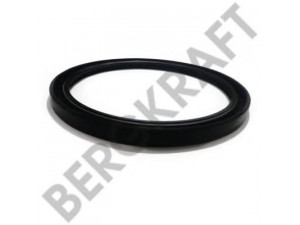 BERGKRAFT BK8002657 veleno sandariklis, rato stebulė
4.753.054.000, 4753054000, 02.5664.26.57