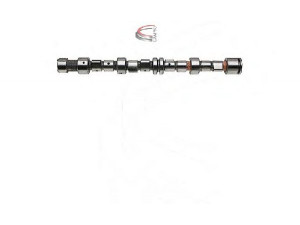 CAMPRO CP12240 skirstomasis velenas 
 Variklis -> Variklio uždegimo laiko reguliavimo kontrolė -> Skirstomasis velenas
636202