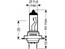 OSRAM 64210-01B lemputė, prožektorius; lemputė, priekinis žibintas; lemputė, rūko žibintas; lemputė, priekinis žibintas; lemputė, prožektorius; lemputė, rūko žibintas; lemputė, posūkio lemputė; lemputė, posūkio lemputė; lemputė, dieną naudojamas žibintas; lemputė, dieną  
 Kėbulas -> Pagalbiniai žibintai/dalys -> Prožektorius/dalys -> Lemputė, prožektorius