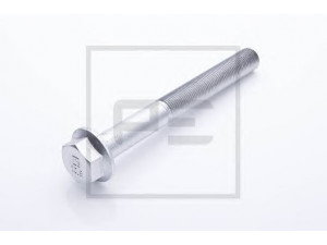 PE Automotive 014.345-00A varžtas
000000 005541, 910105 016011
