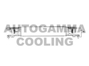 AUTOGAMMA 104411 tarpinis suslėgto oro aušintuvas, kompresorius
55702194, 6302080