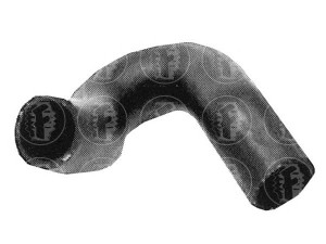 FARE SA 7323 radiatoriaus žarna 
 Aušinimo sistema -> Žarnelės/vamzdeliai/sujungimai -> Radiatoriaus žarnos
1337009