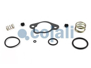 COJALI 6019008 remonto komplektas; remonto komplektas, stovėjimo stabdžio vožtuvas