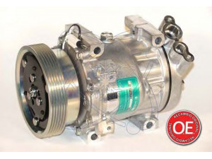 ELECTRO AUTO 20A1060 kompresorius, oro kondicionierius 
 Oro kondicionavimas -> Kompresorius/dalys
8200117767, 8200603434, 8200117767