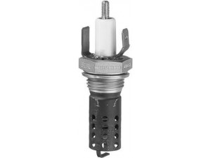 BERU GH203 kaitinimo žvakė, stovėjimo šildytuvas