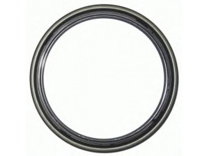 ZF Parts 3032 601 veleno sandariklis, rato stebulė
196 4236 C1, 0439 3239, F199.300.020.261