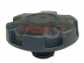 METZGER 2140066 dangtelis, radiatorius 
 Aušinimo sistema -> Radiatorius/alyvos aušintuvas -> Išsiplėtimo bakelis, variklio aušinimo skystis
17 13 7 516 004