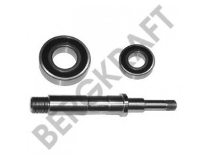 BERGKRAFT BK6117722WP remonto komplektas, vandens siurblys
550049, 550142