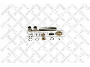 STELLOX 84-16057-SX remonto komplektas, pasukamojo kakliuko kaištis
6013300419