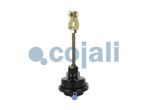 COJALI 2251100 diafragm. stabdžių cilindras