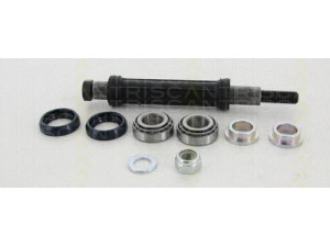 TRISCAN 8500 38402 pakabos komplektas 
 Ašies montavimas/vairavimo mechanizmas/ratai -> Valdymo svirtis/pasukamosios svirties sujungimas -> Vairo trauklės (valdymo svirtis, išilginis balansyras, diago