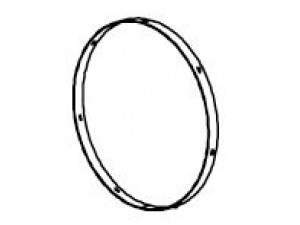 DINEX 81927 flanšas, išmetimo vamzdis