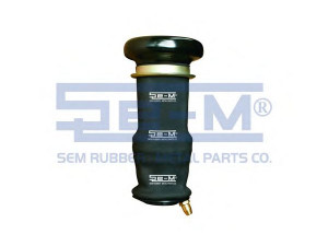SEM LASTIK 8153 gofruotoji membrana, vairuotojo kabinos pakaba
1349840