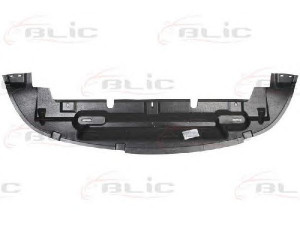 BLIC 6601-02-2555881P variklio dangtis 
 Variklis -> Variklio dangtis
1 307 970, 1307970