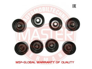 MASTER-SPORT 406-1007045-SET8-MS svirtis/kumštelis
406-1007045