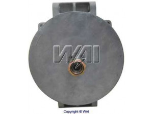 WAIglobal 8675N kintamosios srovės generatorius
00106723, 50344943PGH