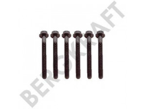 BERGKRAFT BK8501789 remonto komplektas, kompresorius
251493