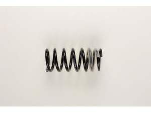 BILSTEIN 36-129829 spyruoklė 
 Pakaba -> Spyruoklės
84 AB 5560 JB