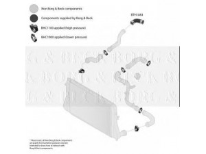 BORG & BECK BTH1083 kompresoriaus padavimo žarna 
 Išmetimo sistema -> Turbokompresorius
1T0145790B, 1T0145790B, 1T0145790B