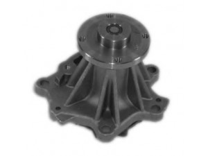AISIN WPN-010V vandens siurblys