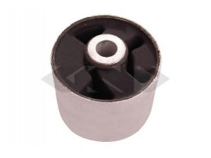 SPIDAN 412371 valdymo svirties/išilginių svirčių įvorė
RGX 500201