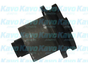 KAVO PARTS SCR-8507 valdymo svirties/išilginių svirčių įvorė 
 Ašies montavimas/vairavimo mechanizmas/ratai -> Valdymo svirtis/pasukamosios svirties sujungimas -> Montavimas/sutvirtinimas
4622163J00