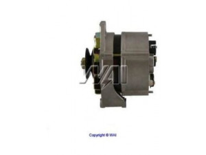 WAIglobal 23595R kintamosios srovės generatorius 
 Elektros įranga -> Kint. sr. generatorius/dalys -> Kintamosios srovės generatorius
036903023S, 036903023SX, 036903025K