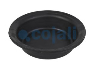 COJALI 6001122 membrana, spyruoklinis cilindras