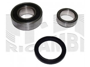 CALIBER RC1724 rato guolio komplektas 
 Ašies montavimas/vairavimo mechanizmas/ratai -> Rato stebulė/montavimas -> Rato guolis
