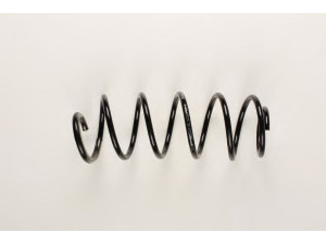 BILSTEIN 37-172220 spyruoklė 
 Pakaba -> Spyruoklės
5002JY