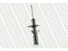 MONROE G16310 amortizatorius 
 Pakaba -> Amortizatorius
8200013146, 8200041570, 8200041572