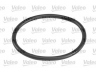 VALEO 614525 vandens siurblio ir paskirstymo diržo komplektas 
 Diržinė pavara -> Paskirstymo diržas/komplektas -> Paskirstymo diržas/komplektas
X56OESKDP