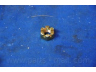 PARTS-MALL PXCTA-034 skersinės vairo trauklės galas
568201E900