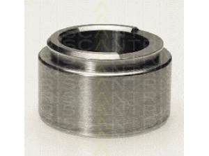 TRISCAN 8170 235407 stūmoklis, stabdžių apkaba