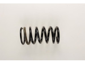 BILSTEIN 36-154319 spyruoklė 
 Pakaba -> Spyruoklės
6138374, 83 BB 5560 SC