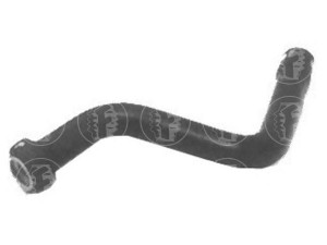 FARE SA 8376 radiatoriaus žarna 
 Aušinimo sistema -> Žarnelės/vamzdeliai/sujungimai -> Radiatoriaus žarnos
1343H5, 1343H8