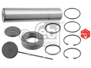 FEBI BILSTEIN 18954 remonto komplektas, pasukamojo kakliuko kaištis
391 330 00 19, 391 330 00 19 S1