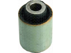 TRISCAN 8500 16810 valdymo svirties/išilginių svirčių įvorė 
 Ašies montavimas/vairavimo mechanizmas/ratai -> Valdymo svirtis/pasukamosios svirties sujungimas -> Montavimas/sutvirtinimas
1010037, 1055191, 98FB3063AA, 1E00-34-153A